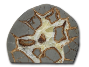 Internal polished surface of septarian nodule, showing calcite and iron-rich deposits.